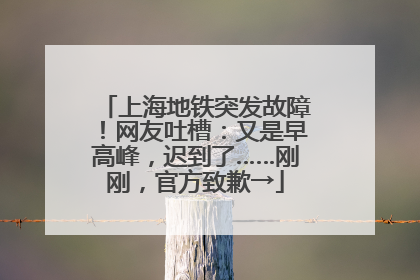 上海地铁突发故障！网友吐槽：又是早高峰，迟到了……刚刚，官方致歉→